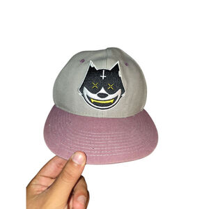 Men's Grassroots California Snapback Hat One Size Gray Purple